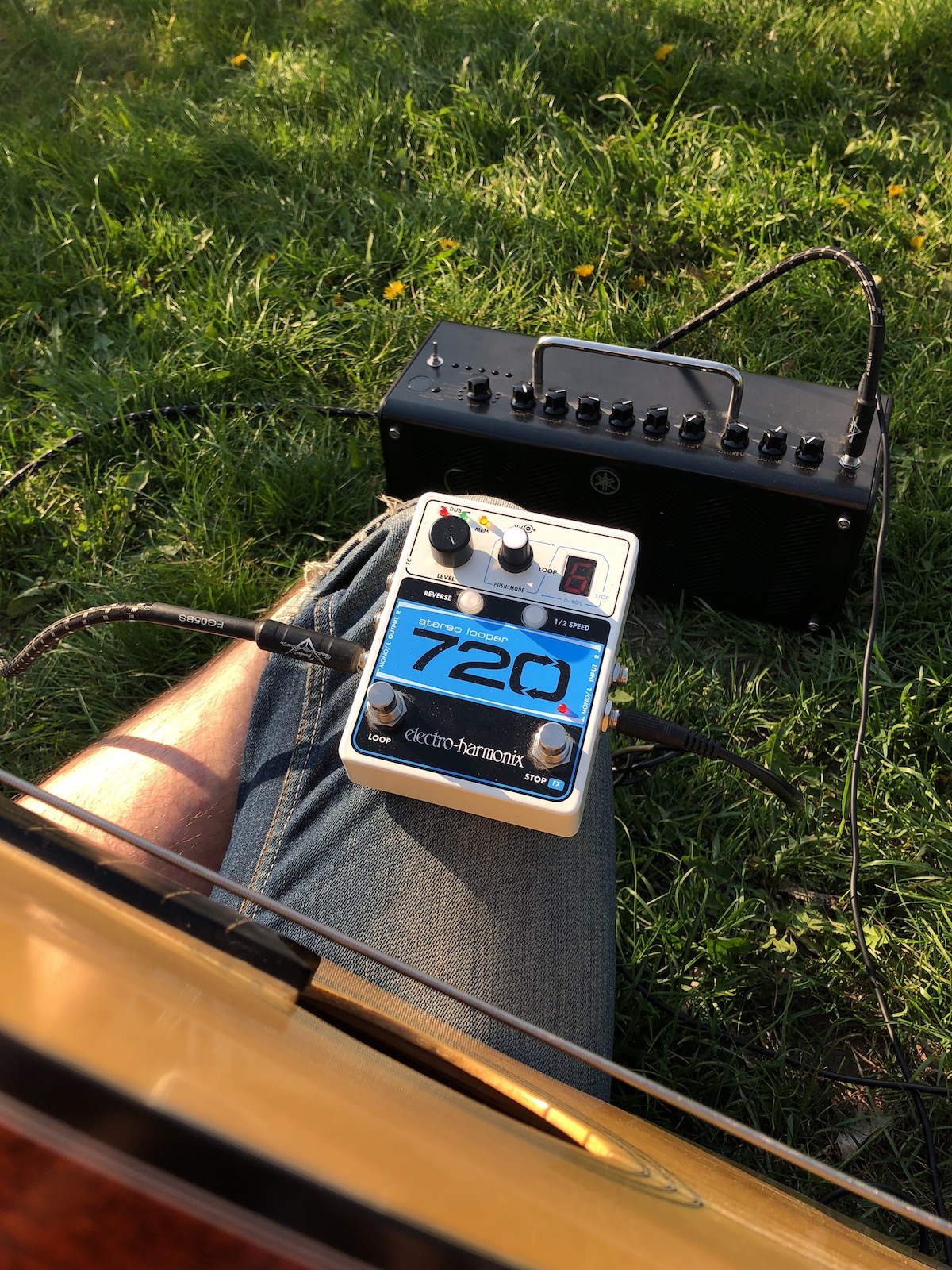 EHX